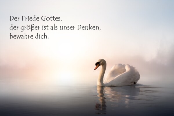 Schwan mit Spruch