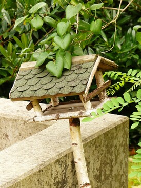 Nahaufnahme eines Vogelhäuschens im Garten des Altenpflegeheims